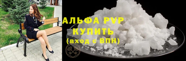 молекула духа Арсеньев