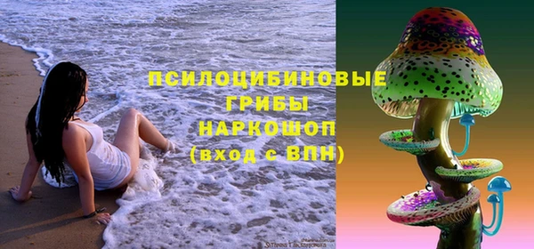 молекула духа Армянск