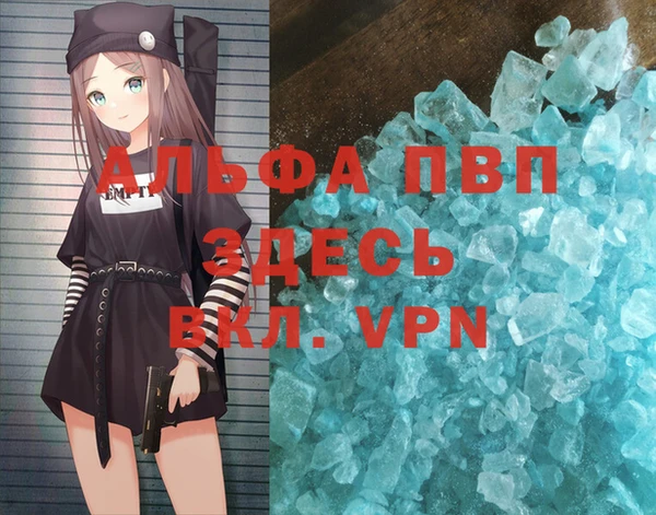 молекула духа Арсеньев