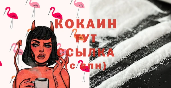 молекула духа Арсеньев