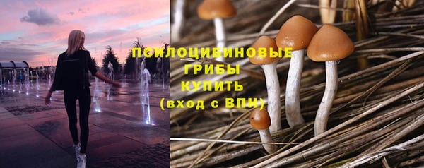 молекула духа Армянск
